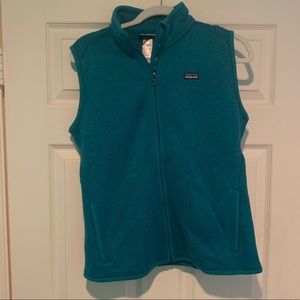 Blue Patagonia Vest